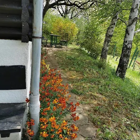 Holiday home Kozjanska Koca *