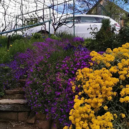 Kozjanska Koca * Podčetrtek