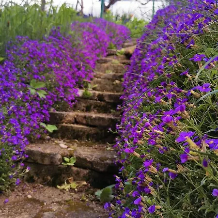 Tatil Evi Kozjanska Koca *