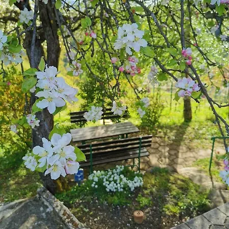 Tatil Evi Kozjanska Koca Podčetrtek