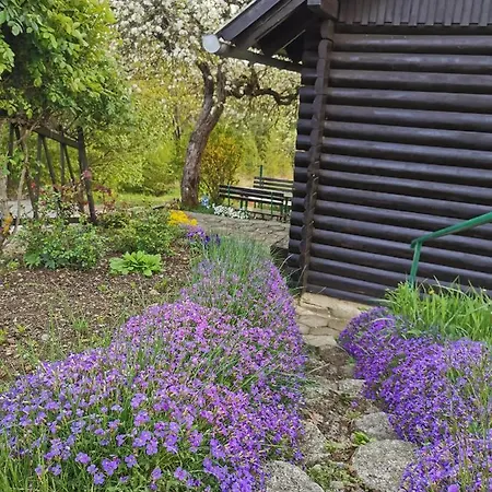 Tatil Evi Kozjanska Koca