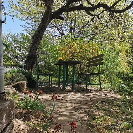 Kozjanska Koca Tatil Evi *