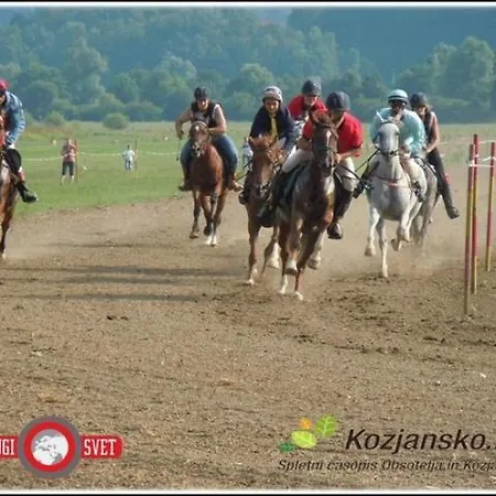 Kozjanska Koca Podčetrtek