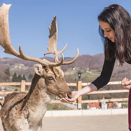 Сasa de vacaciones Kozjanska Koca *