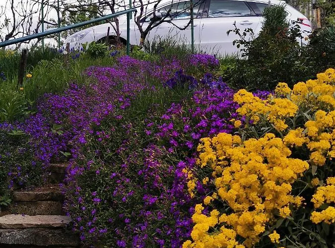 Kozjanska Koca * Podčetrtek