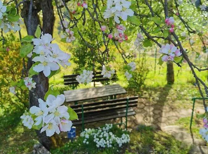 Vakantiehuis Kozjanska Koca Podčetrtek