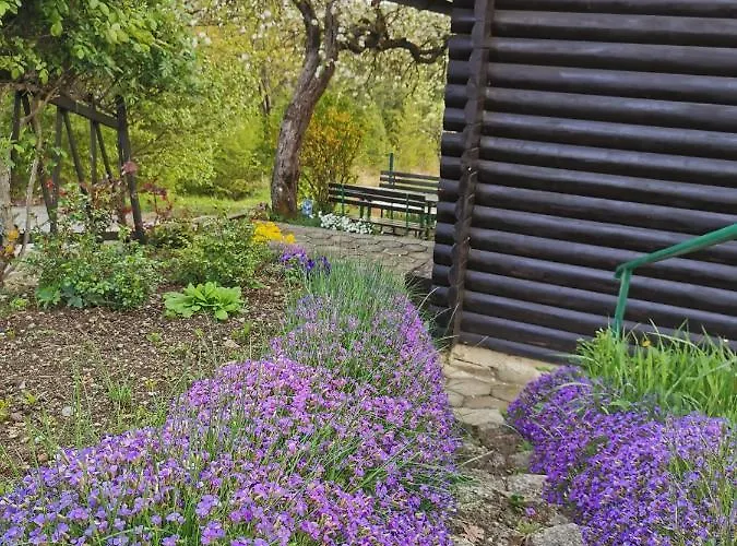 Vakantiehuis Kozjanska Koca