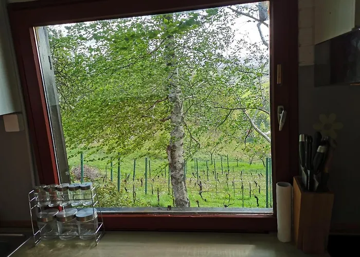 Kozjanska Koca Podčetrtek