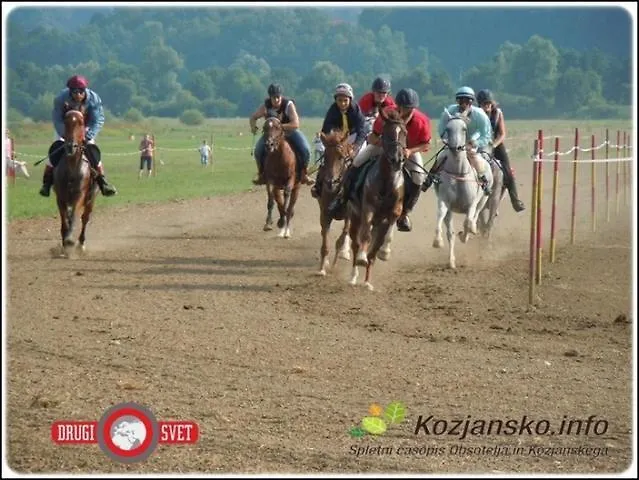 Kozjanska Koca Podčetrtek