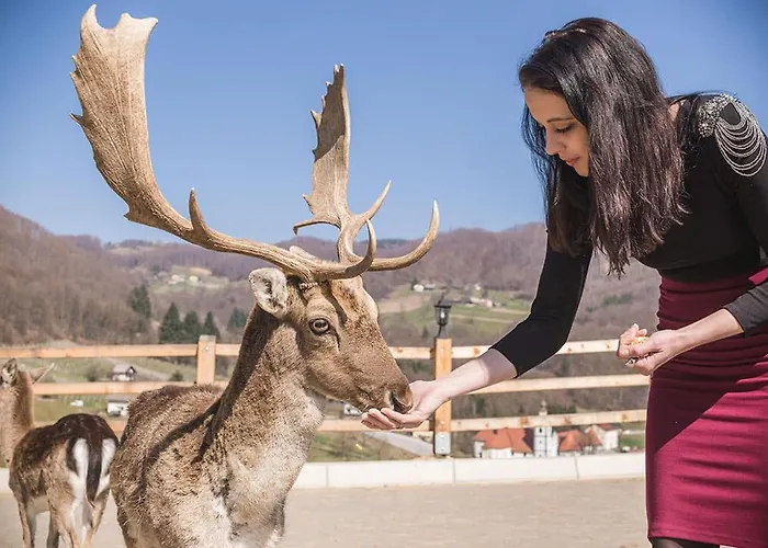 Vakantiehuis Kozjanska Koca *